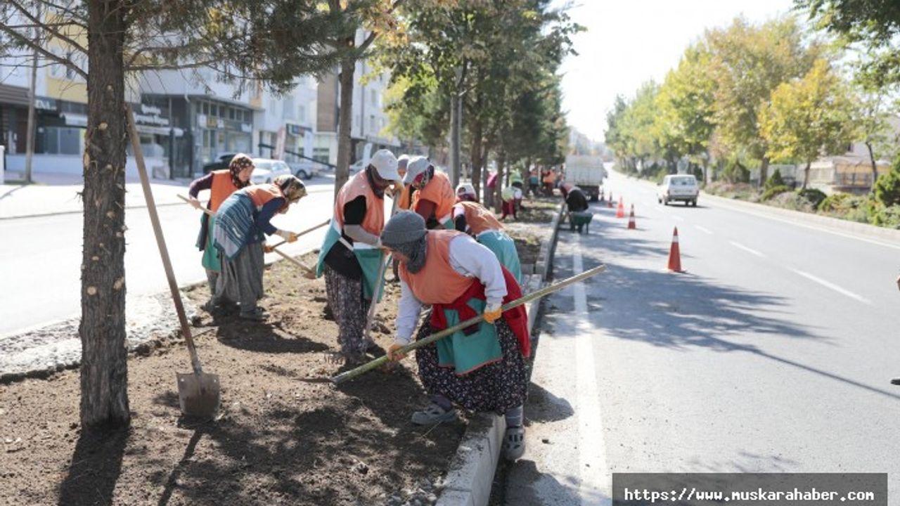 Belediye ekiplerinden refüj ve kavşaklarda bitkilendirme ve bakım çalışması