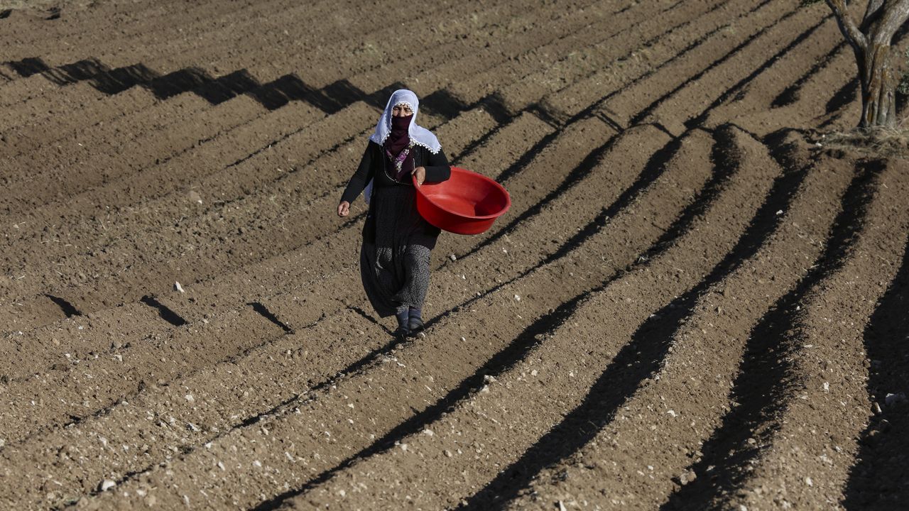 Nevşehir'deki kuraklık ekinin çimlenmesini geciktirdi
