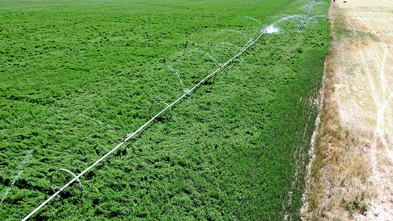 Çiftçilerin su kullanım bedeline yapılacak yüzde 50 indiriminin uygulama esasları belirlendi