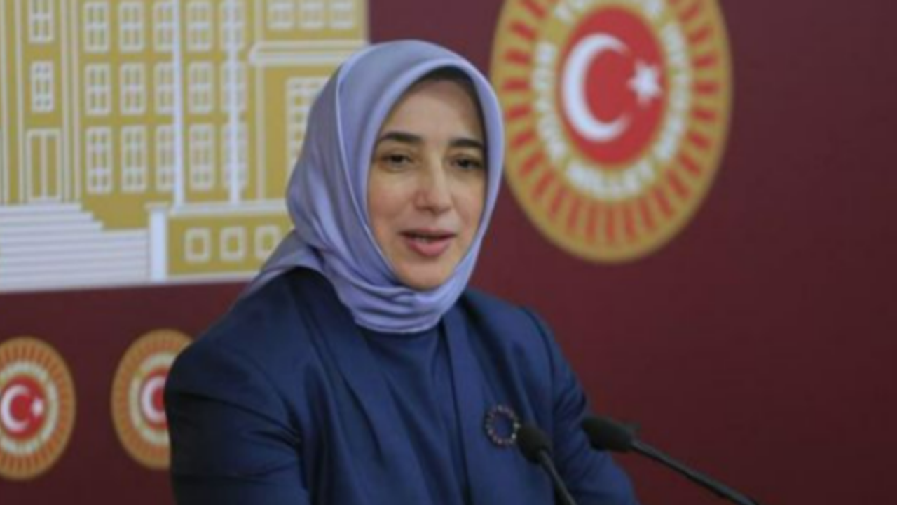 Özlem Zengin'in Kariyeri: AK Parti İstanbul Milletvekili