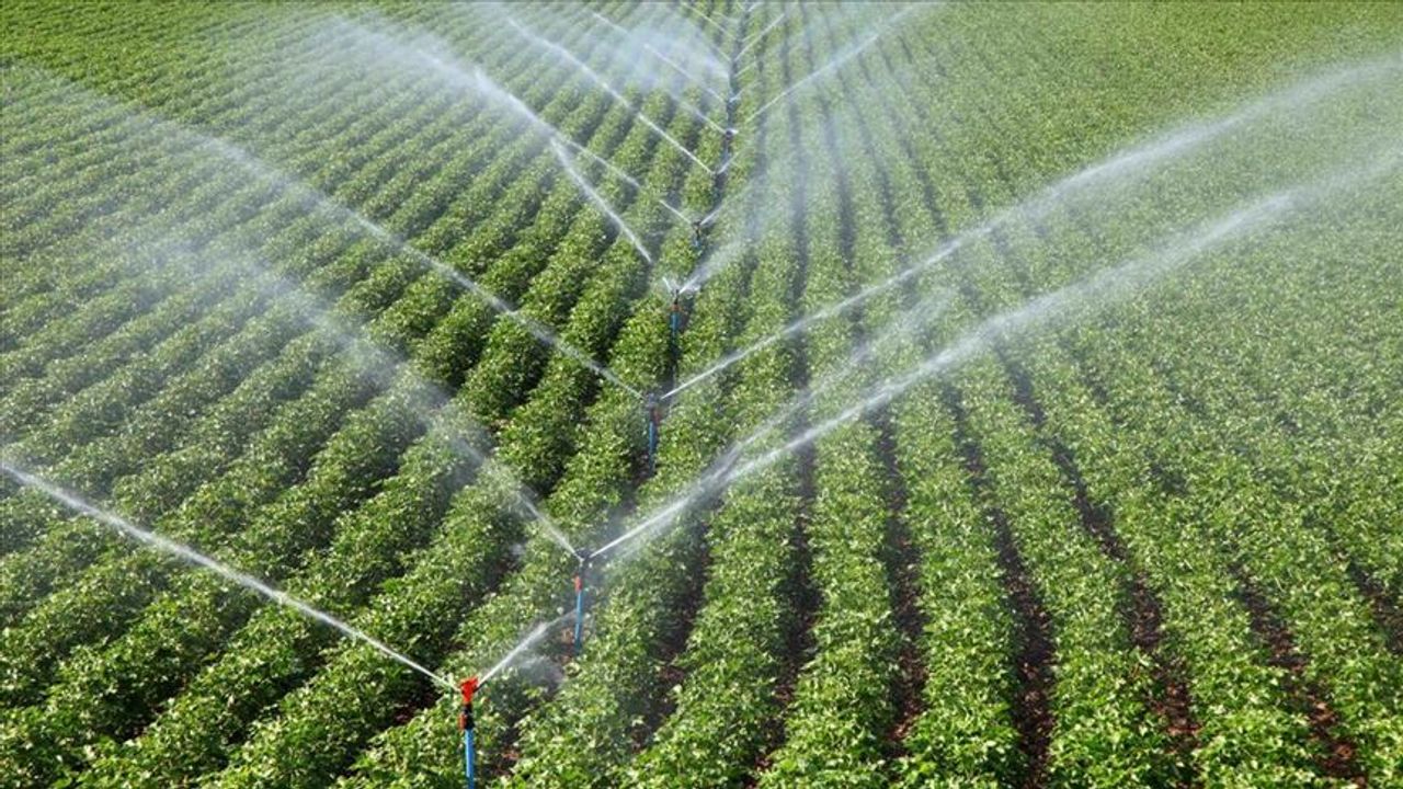 Kayseri Şeker, Nevşehir’deki çiftçilere ikinci sulama avansını ödedi