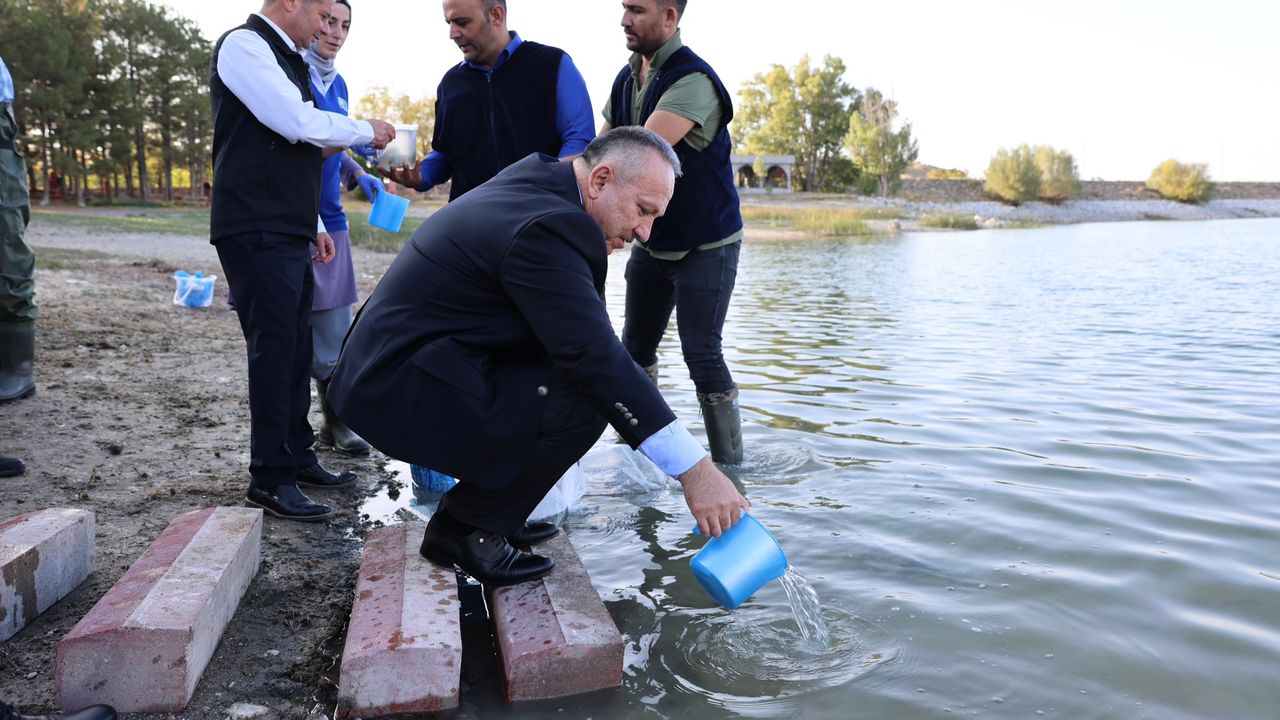 Nevşehir’de barajlara 720 bin sazan balığı yavrusu bırakıldı