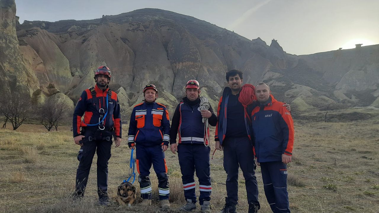 Kayaların arasında mahsur kalan köpek kurtarıldı