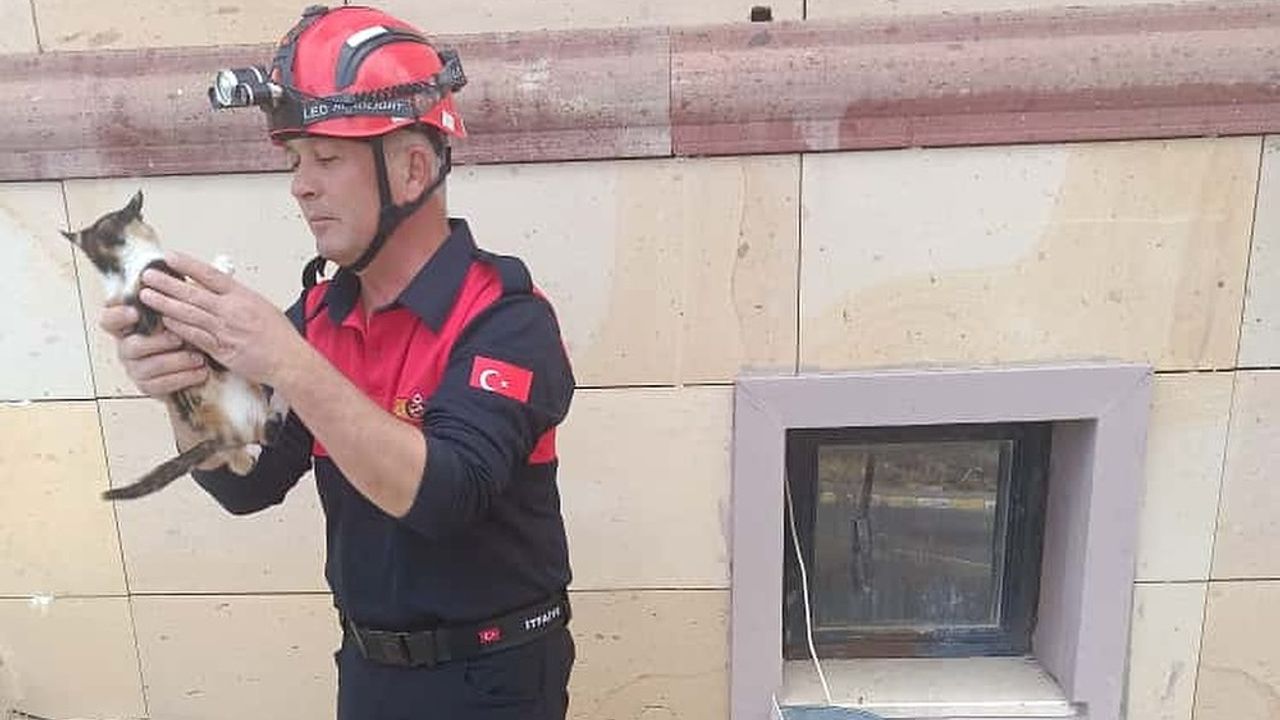 Havalandırma boşluğuna düşen kedi kurtarıldı