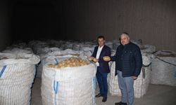 Nevşehir’de patates hasadı tamamlandı