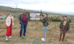 Yusuf Koçak, Şehit Ömer Halisdemir Hatıra Ormanı kurdu