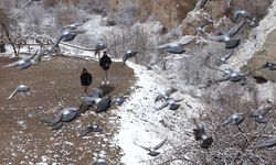 Turistler, karla kaplanan Kapadokya'ya hayran kaldı