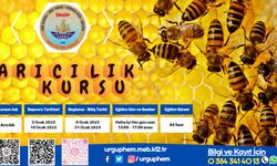 Ürgüp HEM'de arıcılık kursu açılacak