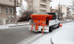 Belediye ekipleri tuzlama çalışması yapıyor