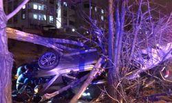 Trafik kazasında gazeteciye saldırdılar