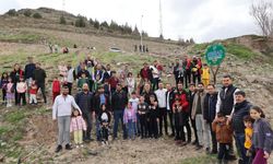 Nevşehir Belediyesinin ağaçlandırma seferberliği sürüyor