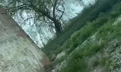 Mazı’da dolu yağışı tarlaları beyaza bürüdü(video haber)