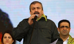 Sırrı Süreyya Önder Kimdir? Biyografi ve Siyasi Kariyeri