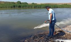 Yüksekli ve Şahinler köyleri arasında biyolojik ilaçlama yapıldı