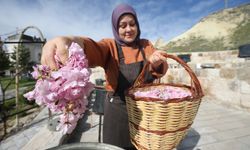 Kapadokya'da "sakura" çiçekleri lezzete dönüşüyor