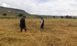 Selden zarar gören belde ve köylerde hasar tespitine başlandı