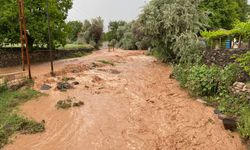 Karaburna köyü sele teslim oldu