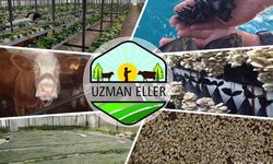 Kırsal Kalkınmada Uzman Eller Projesi'ne Nevşehir'den 16 yeni proje eklendi