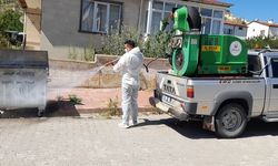 Ürgüp Belediyesi, haşerelere karşı ilaçlama çalışmalarını sürdürüyor