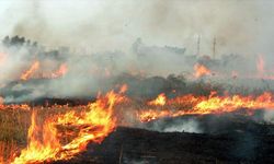 Avanos’ta anız yakanlara cezai yaptırım uygulanacak