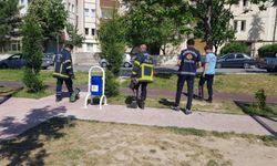 Nevkur’da yılan paniği