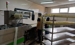Hayvansal ürün işletmelerinde denetimler sürüyor