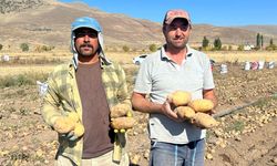 Nevşehir’de patates hasadı başladı