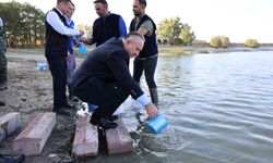 Nevşehir’de barajlara 720 bin sazan balığı yavrusu bırakıldı