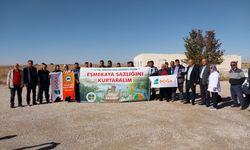 Kuş cenneti çöle döndü, çevreciler dikkat çekti