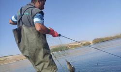 Bayramhacılı Barajında balık stok tespiti yapılıyor