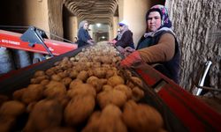 Türkiye’nin patatesi Nevşehir’deki depolardan sağlanıyor