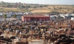 Nevşehir Hayvan Pazarı tekrar açıldı