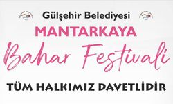 Gülşehir festivalle tanışıyor