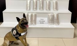 Narkotik köpeği Ateş 1 buçuk milyon liralık uyuşturucu yakalattı