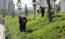 Nevşehir Belediye ekipleri arı gibi çalışıyor