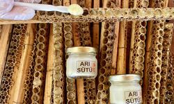 Kervansaray Dağları eteğinde arıcılık yapan kadın girişimci arı sütü üretimini artırdı