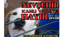 Nevşehir’de hayvanseverler eylem başlattı