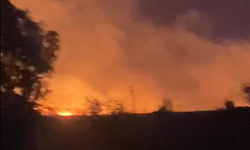 Avanos’ta tarla yangını şiddetli rüzgarın etkisiyle büyüdü