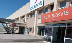 Acil servisler ishal, bulantı ve kusma vakalarıyla dolup taşıyor