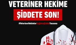 Hacıbektaş'ta veteriner hekime saldırı