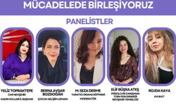 Kadına yönelik şiddete karşı panel düzenlenecek