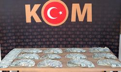 Nevşehir’de sahte dolar yakalandı