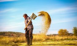 Tarım, Orman ve İnsan Fotoğraf Sergisi Nevşehir’de