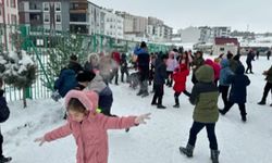 Öğrencilerin polisler ile kartopu savaşı (video)