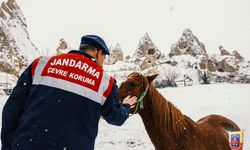 Kartpostallık görüntüler sosyal medyayı salladı