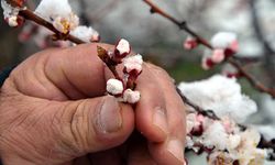 Çiftçiler dikkat! Meteorolojiden uyarı