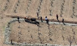 Çalınan hayvanlar drone ile bulundu