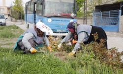 Sümer Mahallesi yaza hazırlanıyor