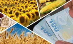 Destek ödemesi için başvurular sona eriyor