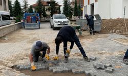 Nar’da yaza hazırlık çalışmaları devam ediyor